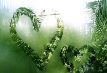 seo在线诊断,seo诊断服务