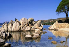 最新seo新手教程,最新seo新手教程视频