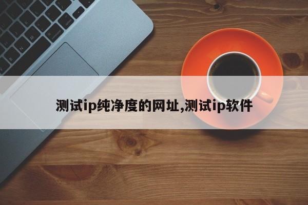 测试ip纯净度的网址,测试ip软件