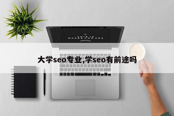 大学seo专业,学seo有前途吗
